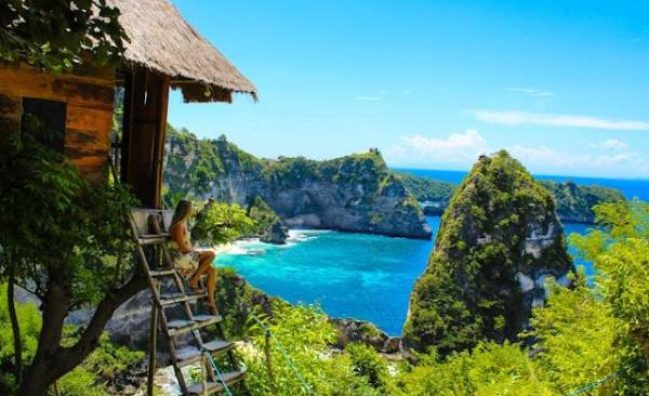 tree house nusa penida