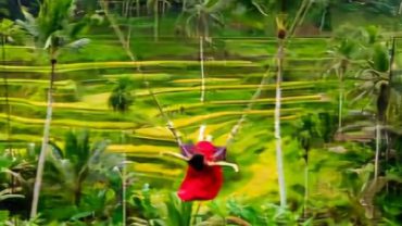 tegalalang rice terrace