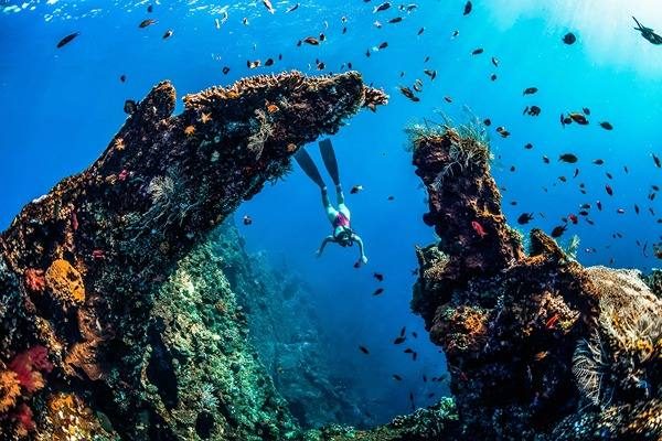 japanse amed scheepswrak