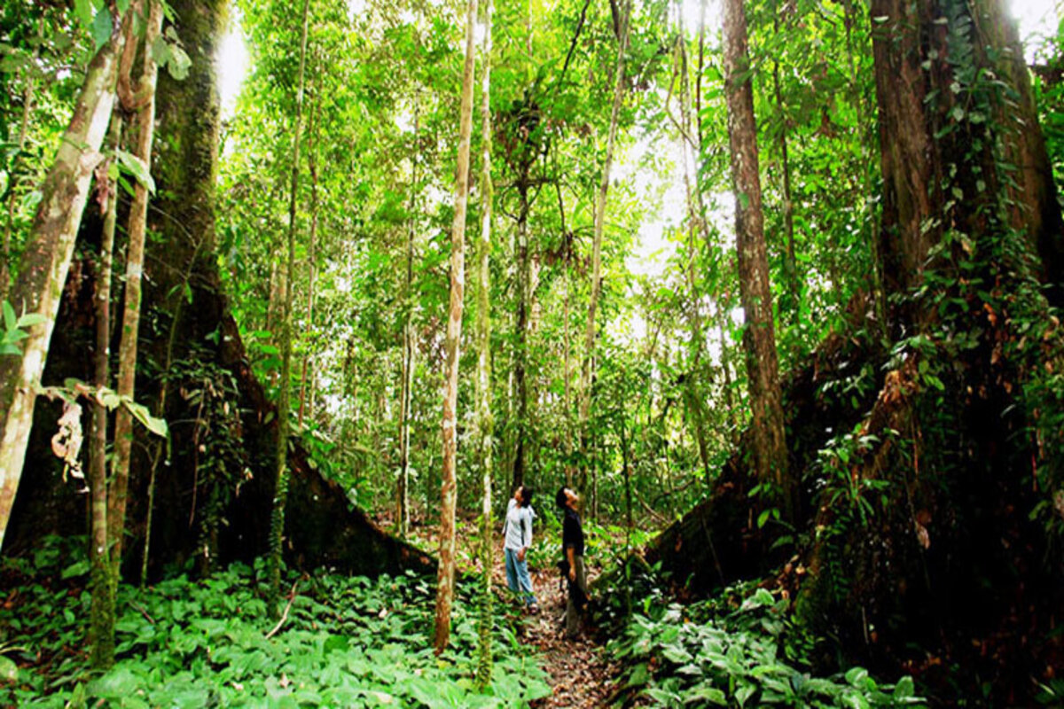 BaliGids tours