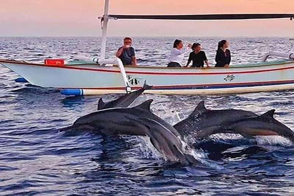 BaliGids tours