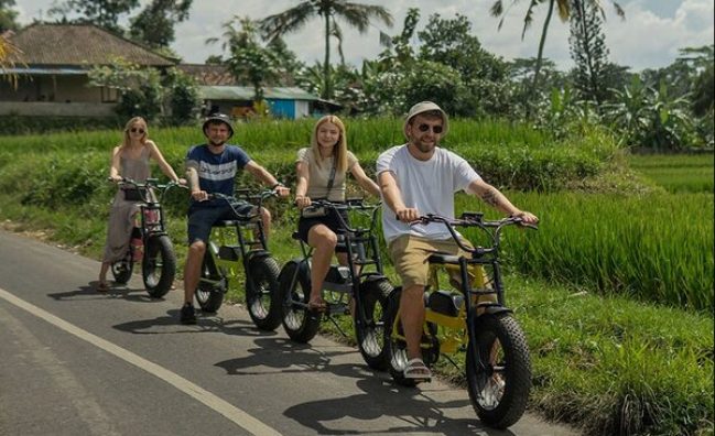 Elektrische Fatbike Tour Ubud